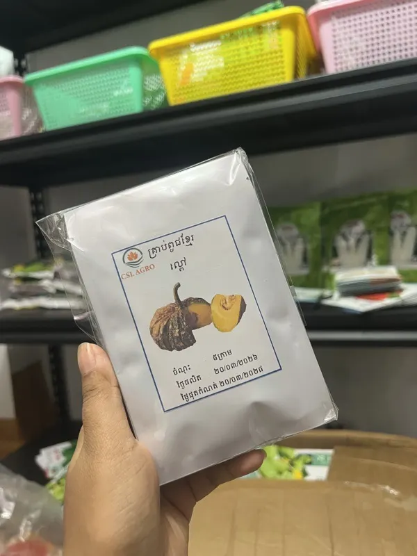 ល្ពៅឃ្លុងធំ
