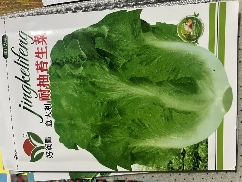 សាលាដស្រួយ