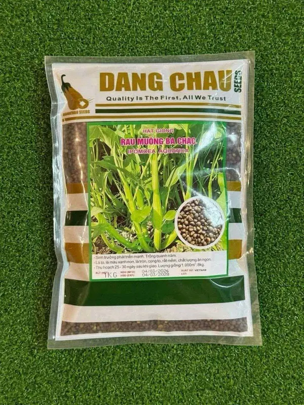 ត្រកួនចយ