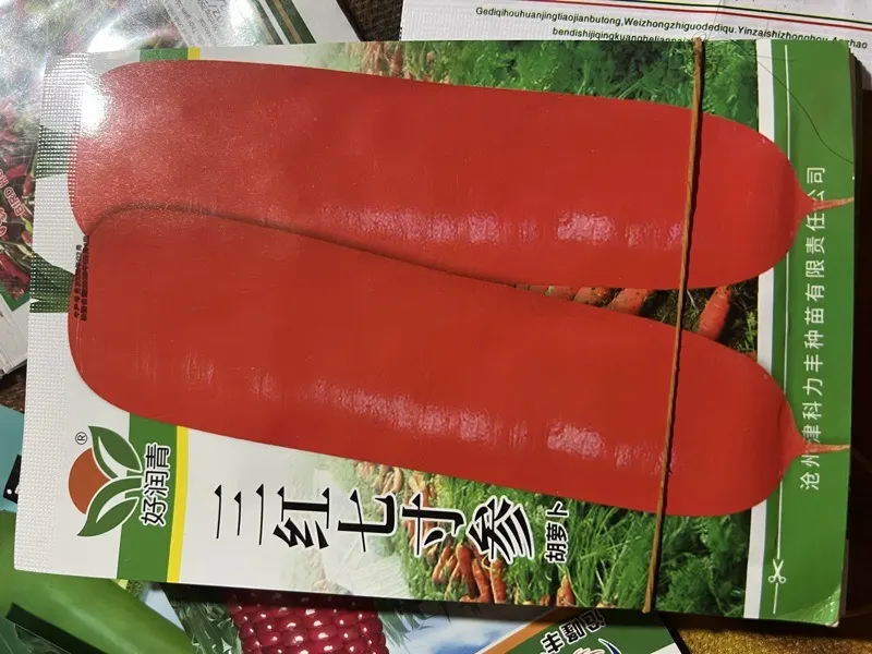 ការ៉ុតធំ