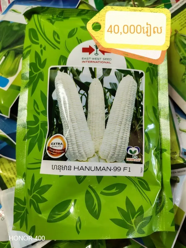 ពោតតំណើបព្រួយ