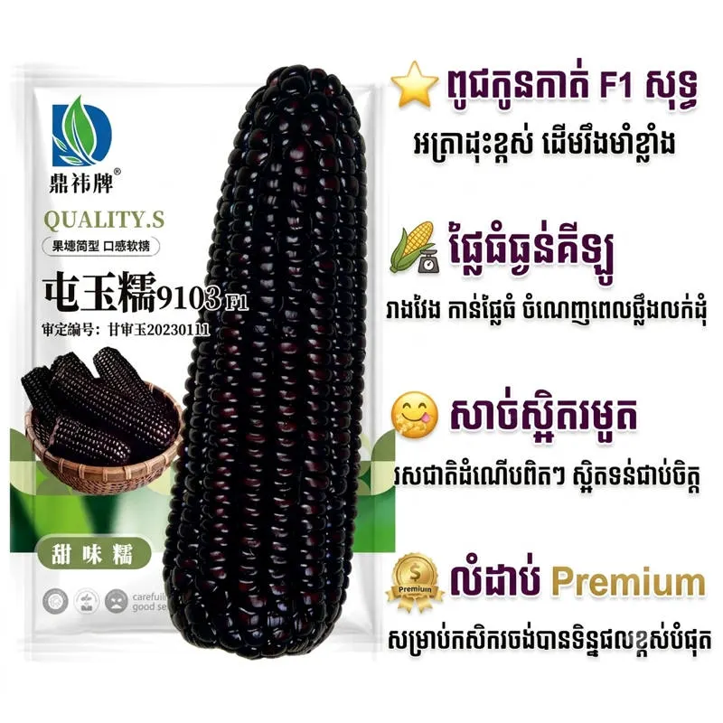 ពោតដំណើបខ្មៅ