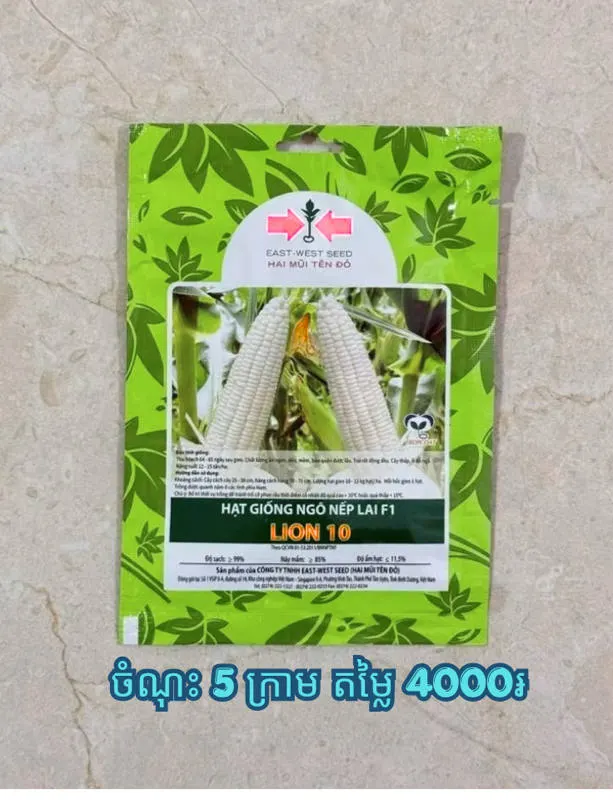 ពោតដំណើបស ព្រួញតូច