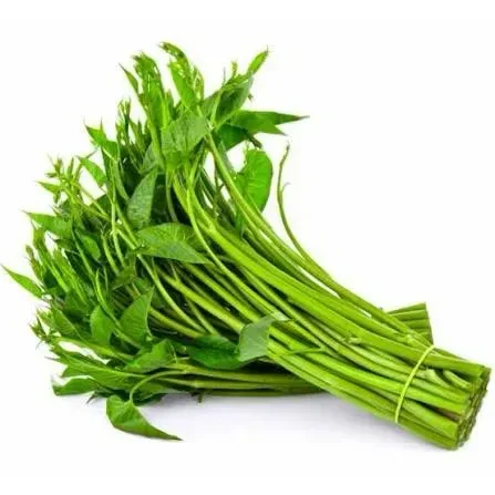 ត្រកួន
