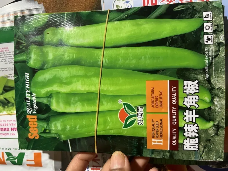 ម្ទេសម្លក់