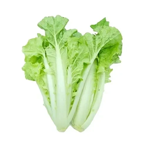 ស្ពៃក្រញាញ់