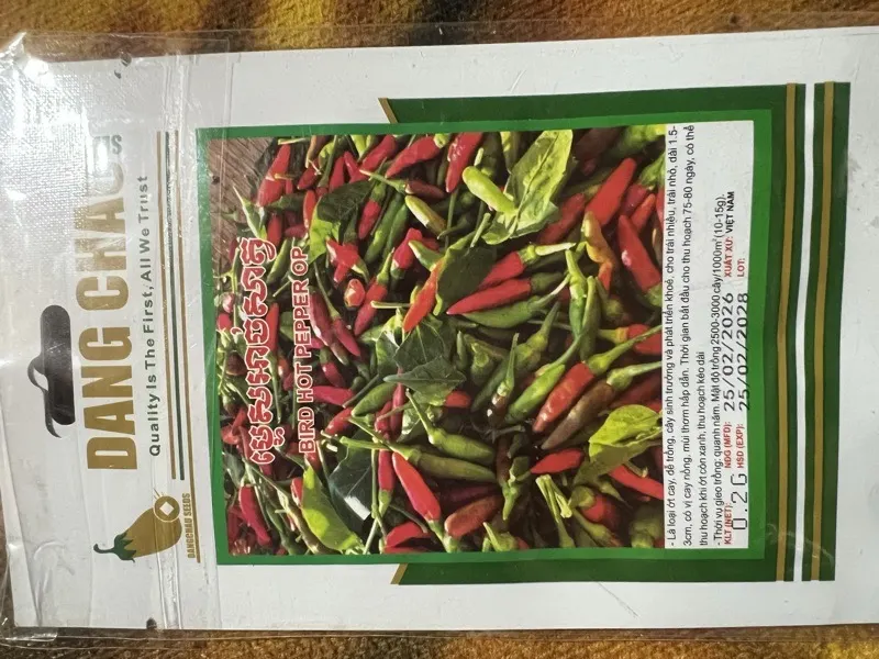 ម្ទេសអាច់សត្វ